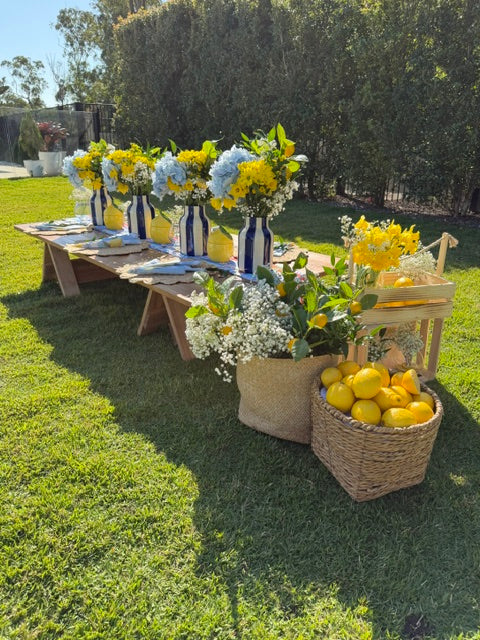 Picnic Table