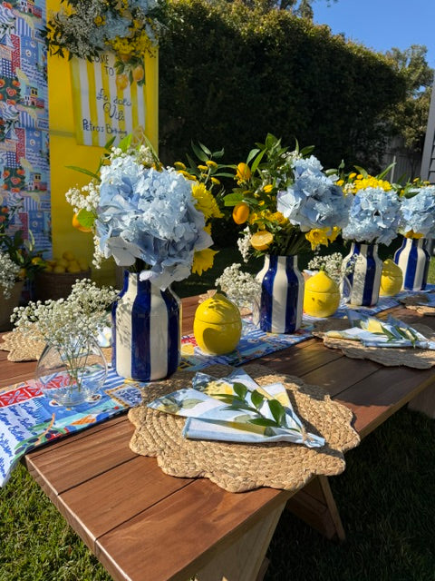 Picnic Package